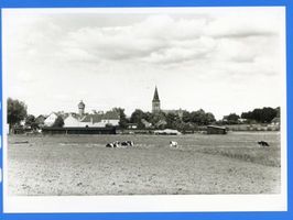 Hohenstein Kr. Osterode, Stadt, Kreis Osterode Hohenstein, Ortsansicht VI 