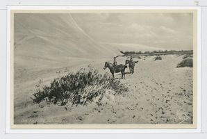  Kurische Nehrung, Kinder zu Pferde vor den Dünen Kurische Nehrung, Dünen