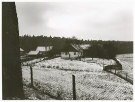  Kreis Allenstein, Dorf Teilansicht im Umkreis von Allenstein Район Алленштайн, деревня, частичный вид в окрестностях Алленштайна