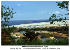   Kurische Nehrung, Dünen