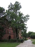 Frauenburg, Kreis Braunsberg 