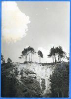  Frisches Haff, Haffküste bei Korschenruh 