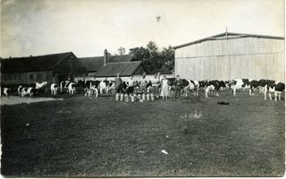 Winge Kr. Heydekrug, Kreis Heydekrug 