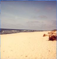  Frische Nehrung, Strand II 