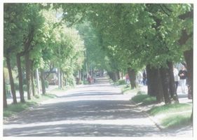 Rauschen Kr. Samland, Kreis Samland Rauschen Kr. Samland, Straße ? 