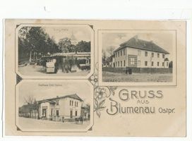 Königsblumenau, Kreis Preußisch Holland 