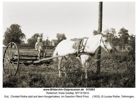 Reiterhof, Kreis Goldap 