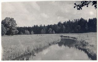  Rominter Heide, Die Rominte II 