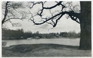 Niedersee, Kreis Sensburg Niedersee, Guschienensee II Нидерзее, Гушиенское озеро, II