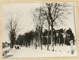 Pogegen, Kreis Tilsit-Ragnit Pogegen, Straße nach Memel, Park 