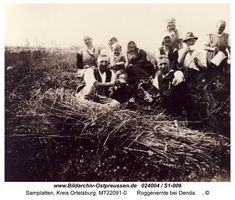 Samplatten, Kreis Ortelsburg  
