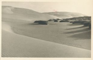  Kurische Nehrung, Wanderdüne IX Kurische Nehrung, Dünen