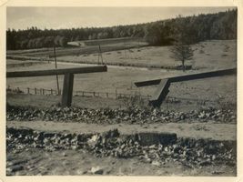  Rominter Heide, Partie an der Rominte VII 