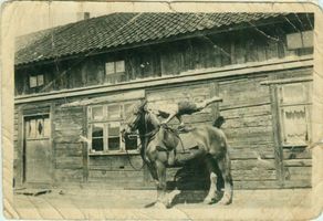 Peterswalde Kr. Elchniederung, Kreis Elchniederung 