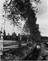 Groß Friedrichsdorf, Kreis Elchniederung 