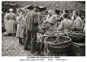 Labiau, Kreis Labiau 
