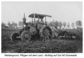 Weidengrund, Kreis Gumbinnen 