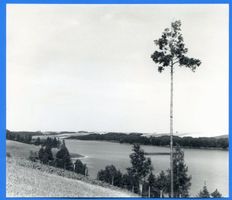 Treuburg, Kreis Treuburg Treuburg, Blick von einer Höhe auf den Lasseck-See 