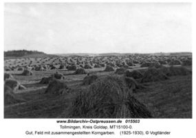 Tollmingen, Kreis Goldap  