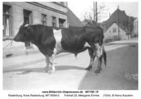 Rastenburg, Stadt, Kreis Rastenburg Freiheit 20