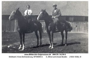 Wolfsdorf Kr. Elchniederung, Kreis Elchniederung 