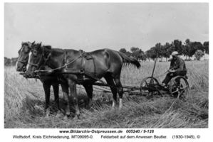 Wolfsdorf Kr. Elchniederung, Kreis Elchniederung 