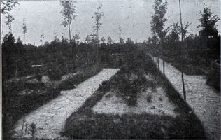 Tilsit, Stadt, Stadtkreis Tilsit 