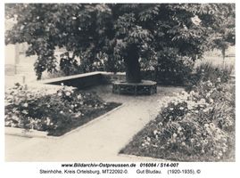 Steinhöhe, Kreis Ortelsburg 