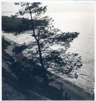 Klein Hoppenbruch, Kreis Heiligenbeil Klein Hoppenbruch, Steilküste Frische Nehrung - Frisches Haff