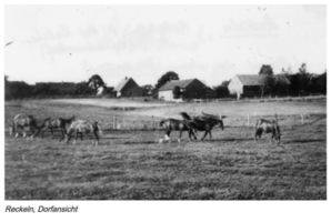 Reckeln Kr. Gumbinnen, Kreis Gumbinnen Reckeln Kr. Gumbinnen, Ortsansicht - Blickrichtung Ost 
