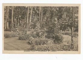 Allenstein, Stadtkreis Allenstein 