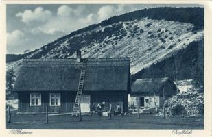 Pillkoppen, Kreis Samland Pillkoppen, An der befestigten Düne I 