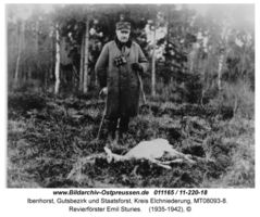 Ibenhorst, Gutsbezirk und Staatsforst, Kreis Elchniederung 