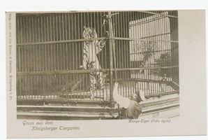 Königsberg (Pr.), Stadtkreis Königsberg Hufenallee