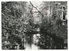 Babenten, Kreis Sensburg Babenten, Altes Wehr der ehemaligen Wassermühle Бабентен, старая плотина бывшей водяной мельницы