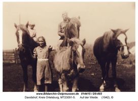 Davidshof, Kreis Ortelsburg 