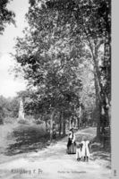 Königsberg (Pr.), Stadtkreis Königsberg 