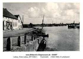 Labiau, Kreis Labiau 