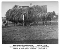 Tawellenbruch, Ort und Forstamt, Kreis Elchniederung 