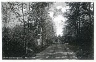 Neuhausen-Tiergarten, Kreis Samland Neuhausen-Tiergarten, Hasenallee 