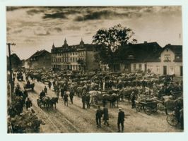 Kreuzingen, Kreis Elchniederung 