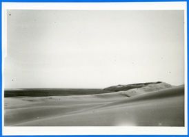  Kurische Nehrung, Dünen V Kurische Nehrung, Dünen