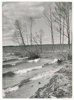  Goldapgar-See, Frühlingssturm am See Masurische Seen