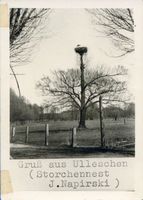 Ulleschen, Kreis Neidenburg Ulleschen, Storchennest 