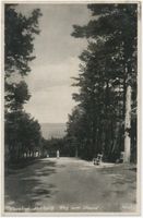 Kahlberg-Liep, Ort, Kreis Elbing Kahlberg-Liep, Weg zum Strand 