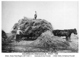 Billen, Kreis Tilsit-Ragnit 