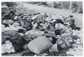 Nemmersdorf, Kreis Gumbinnen Nemmersdorf, Trümmer von Treckwagen II Неммерсдорф, обломки телеги беженцев, II