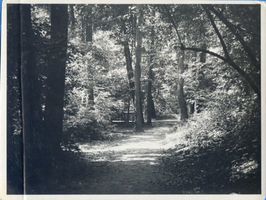 Königsberg (Pr.), Stadtkreis Königsberg Königsberg, Park Luisenwahl VI Königsberg, Stadtteil Mittelhufen