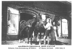 Brittanien, Kreis Elchniederung 