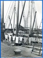 Königsberg (Pr.), Stadtkreis Königsberg Königsberg, Hafenbild, Wäsche auf dem Boot 